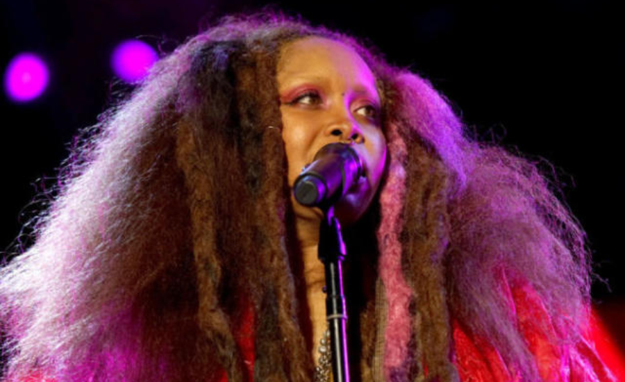 erykah badu net worth